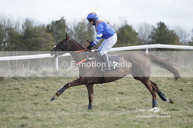 PtP 260223 553 - South & West Wilts Point-to-Point Larkhill 26/02/23