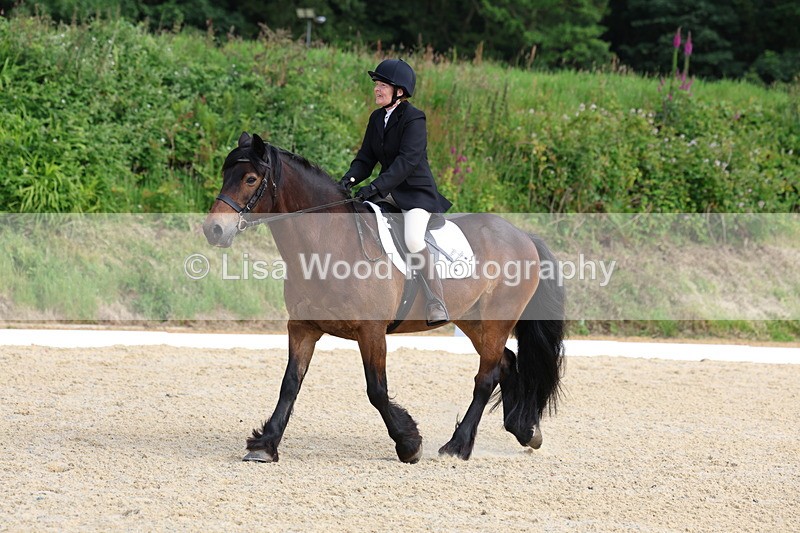 3E7A1398 - Class 2: Intro 2 2024 Section B