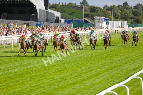 280723-Race 2-Quest For Fun-2731 - Race 2 5.30pm eventmasters.co.uk Handicap