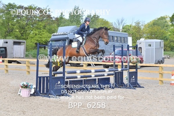 BPP_6258 - CLASS 32 MON Club/ Unaffiliated 80cms Open