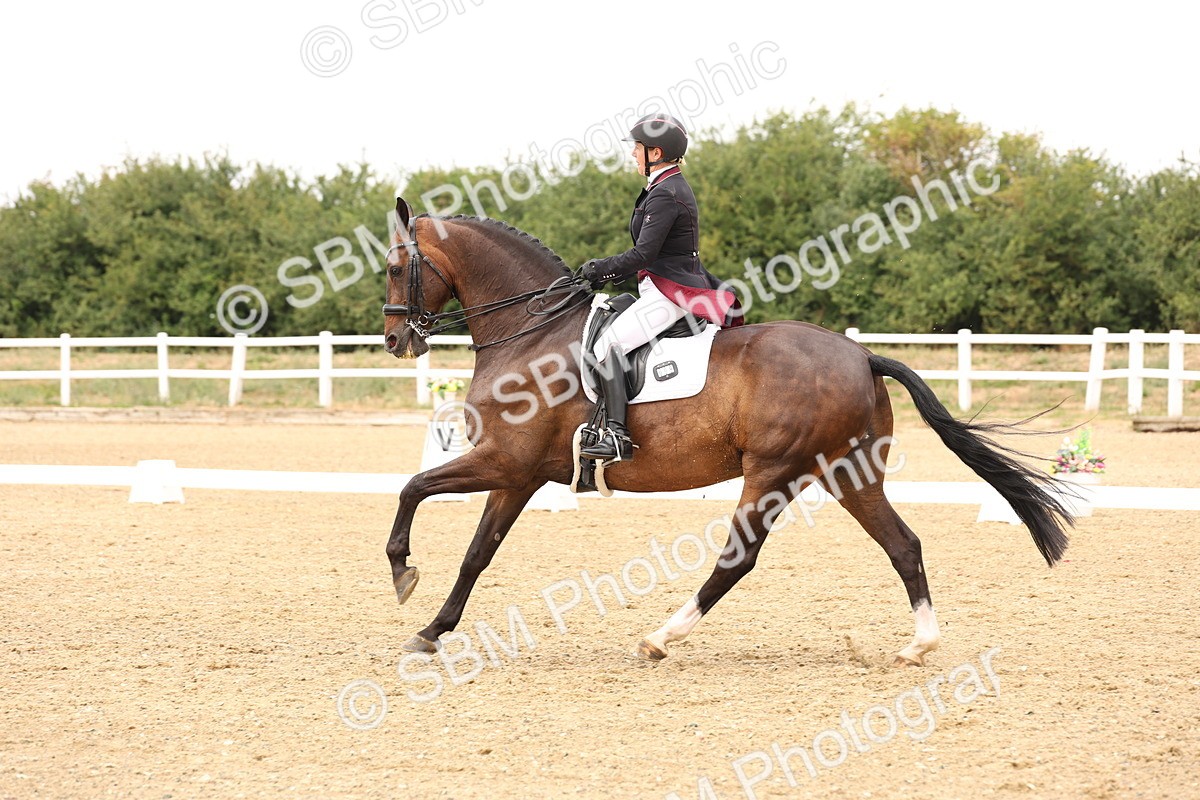 SBM_006442