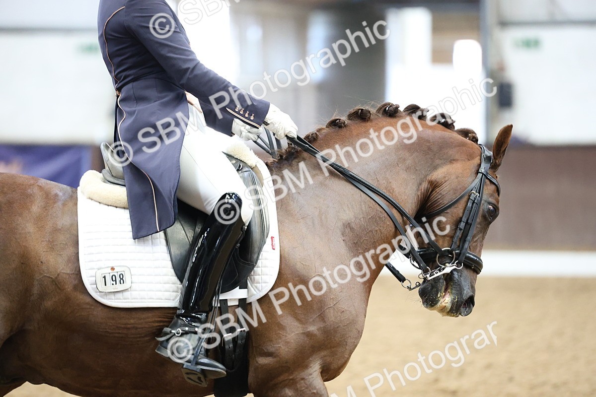 SBM_004846 - Class 9 - FEI Inter 1 Gold - 16.59-17.47