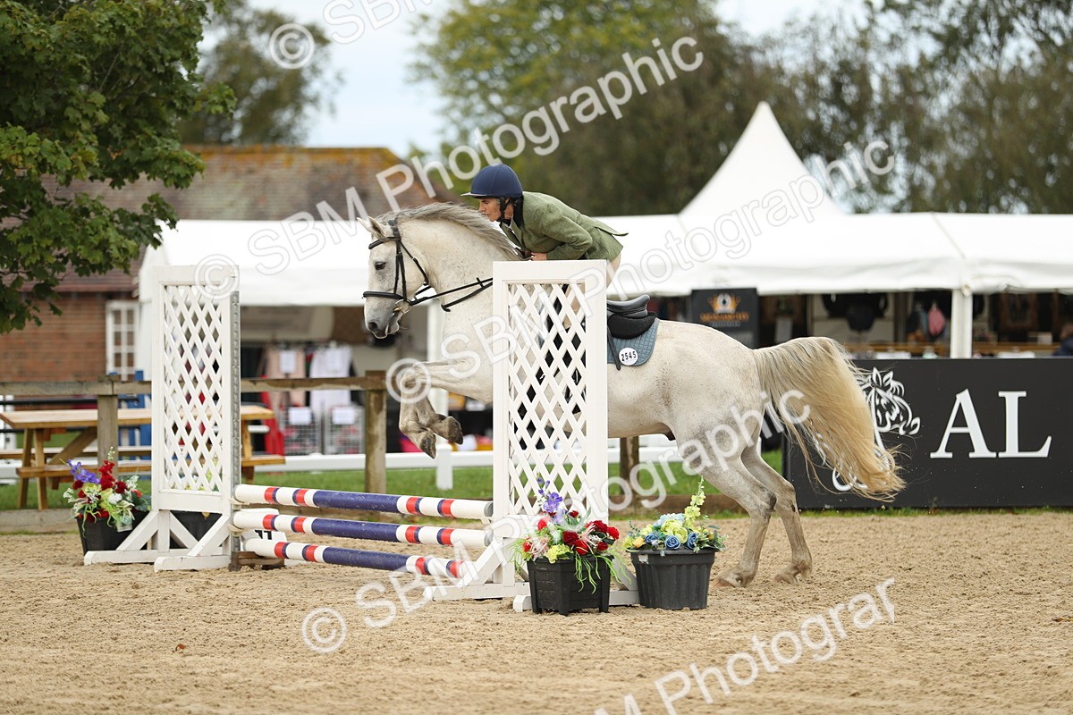 SBM_02002 - J34 - Veteran Rider 50cm