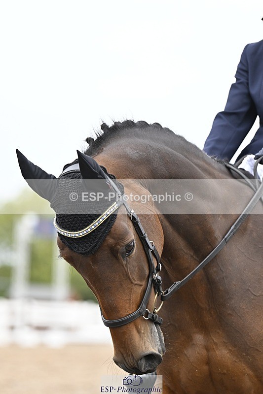 250907-114835-06837 - 081-Jane.MurrayHebog.Mischief