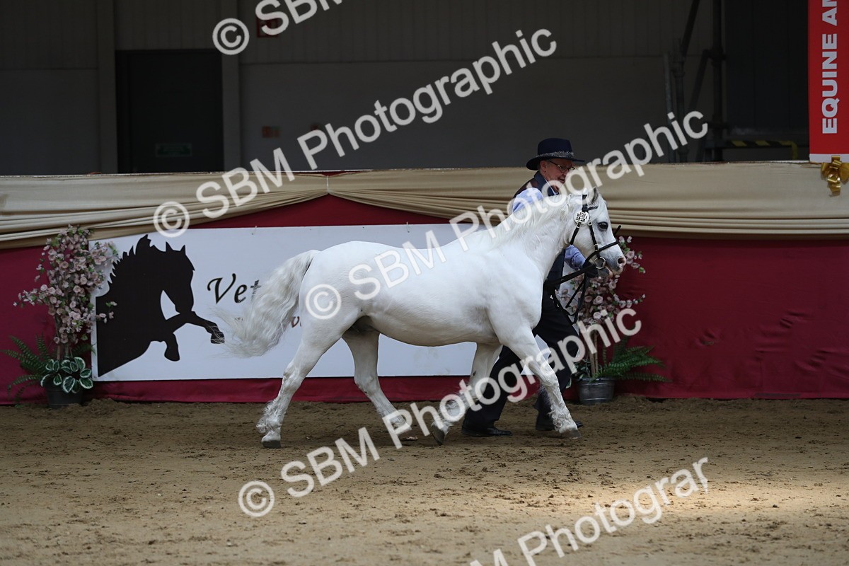 SBM_04939 - Class 8R- Regional -IH Veteran