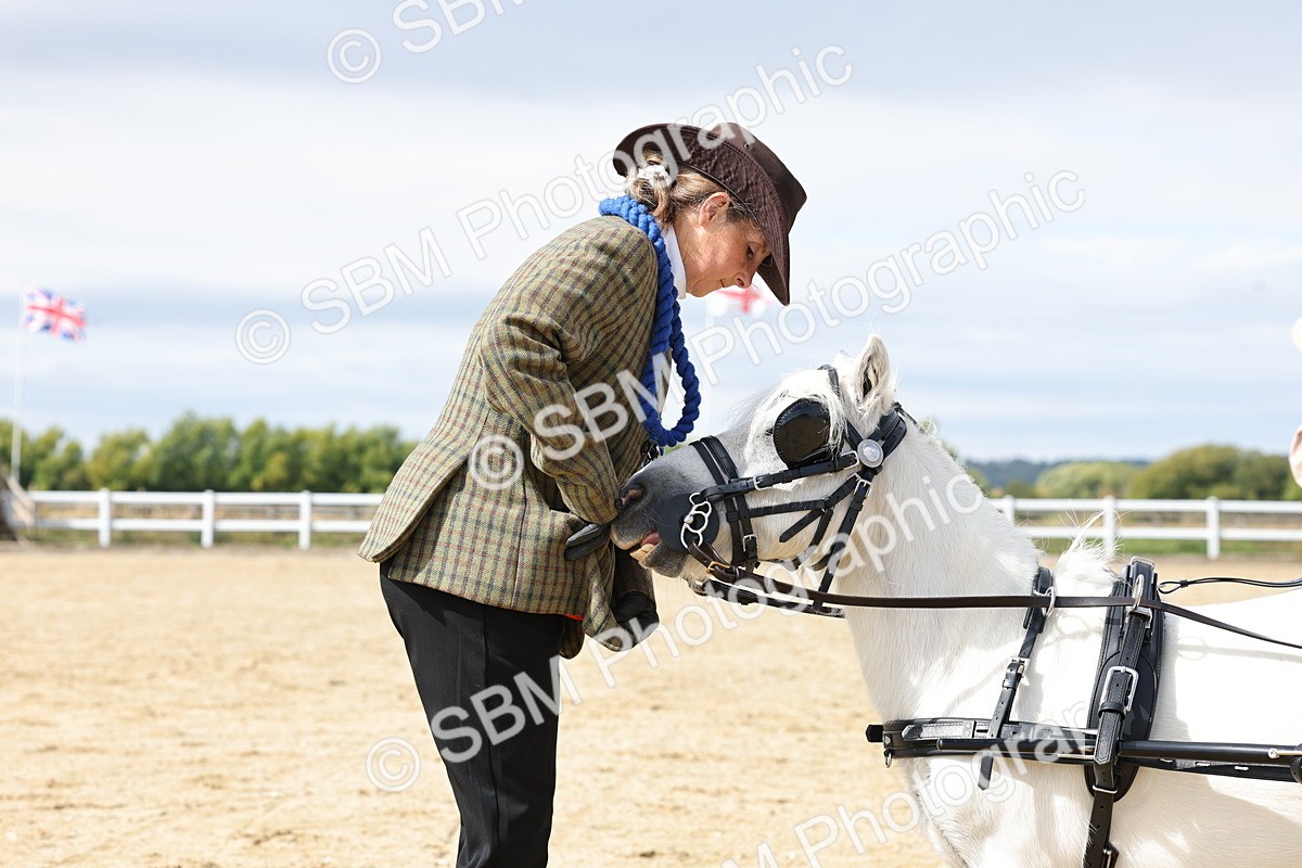 SBM_001085 - Class 14 - Shetland Ponies and Minatures