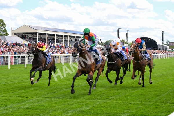 280625-Race 2-Quinault-0078 - Race 2 2.25pm Al Basti Equiworld Dubai Criterion Stakes