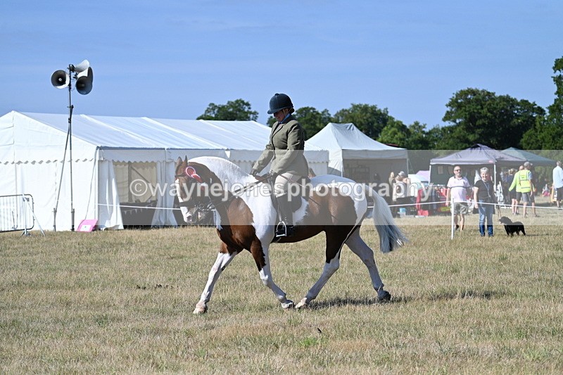 WJ7_3282 - Class 8 Ridden Tack & Turnout