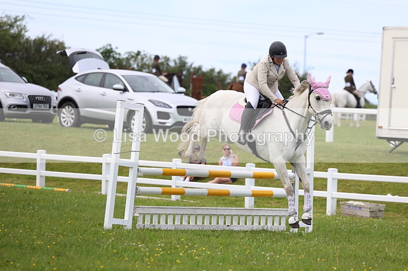 3E7A1766 - Class 13: Senior British Novice/90cm open