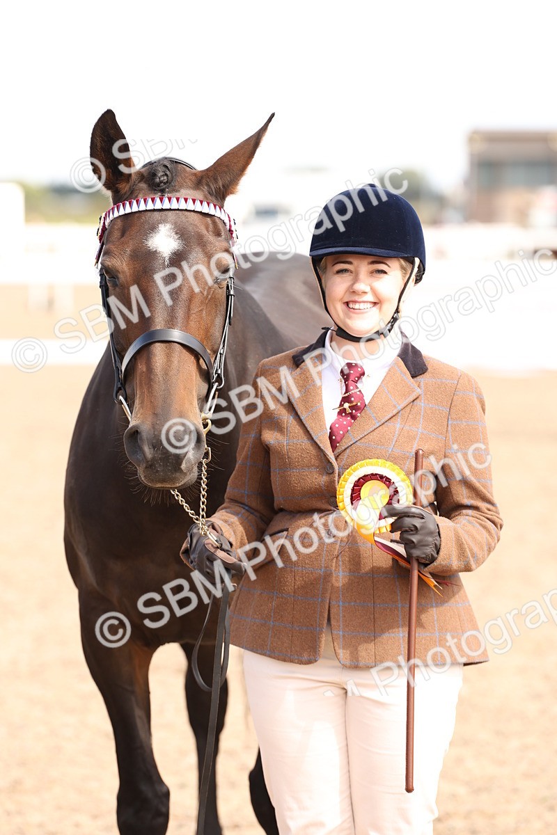 SBM_14732 - Class 208 - IH Veteran Horse