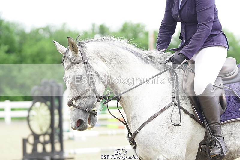 230729A-102114-04641 - Cls 20 British Novice & 90cm Open