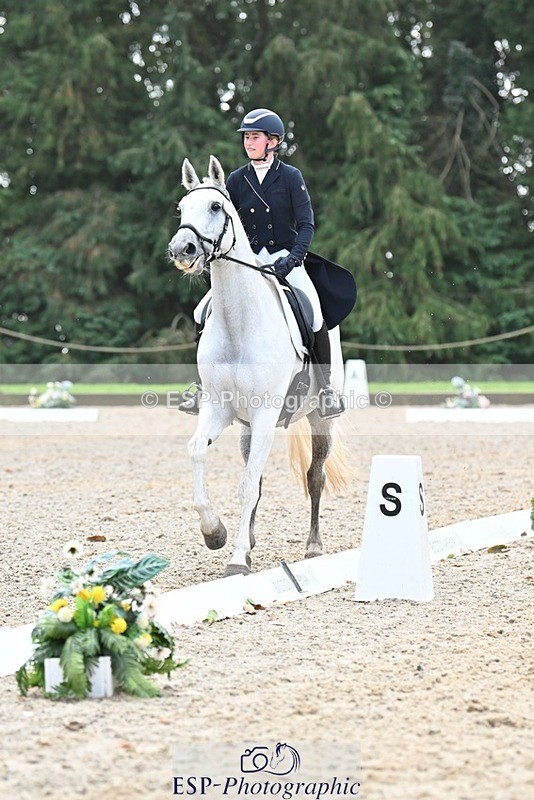 231019-123130-03126 - 114-LATINA'S.TWINKELING-Pippa.Haslam-DR