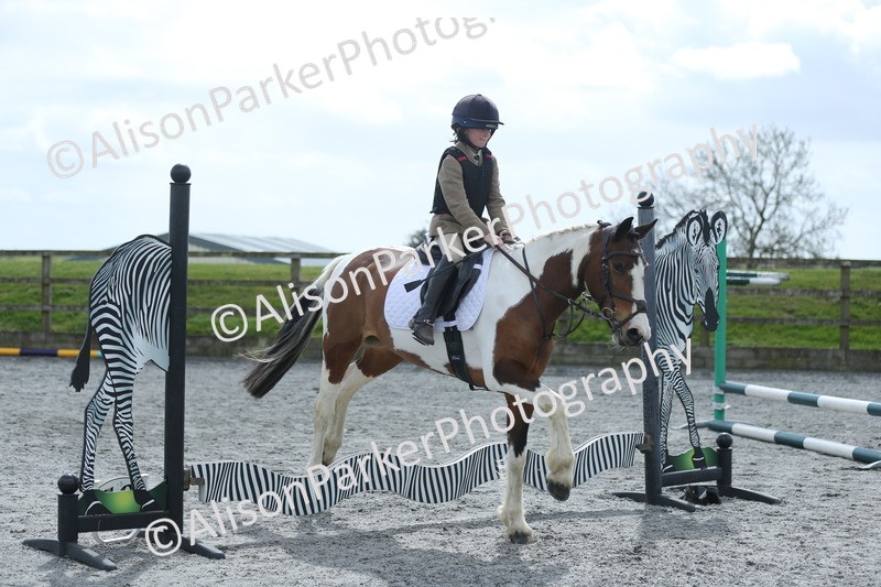 20260412-0734 - Show Jumping