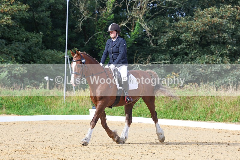 3E7A2214 - Class 1: Intro 4 2024 section A