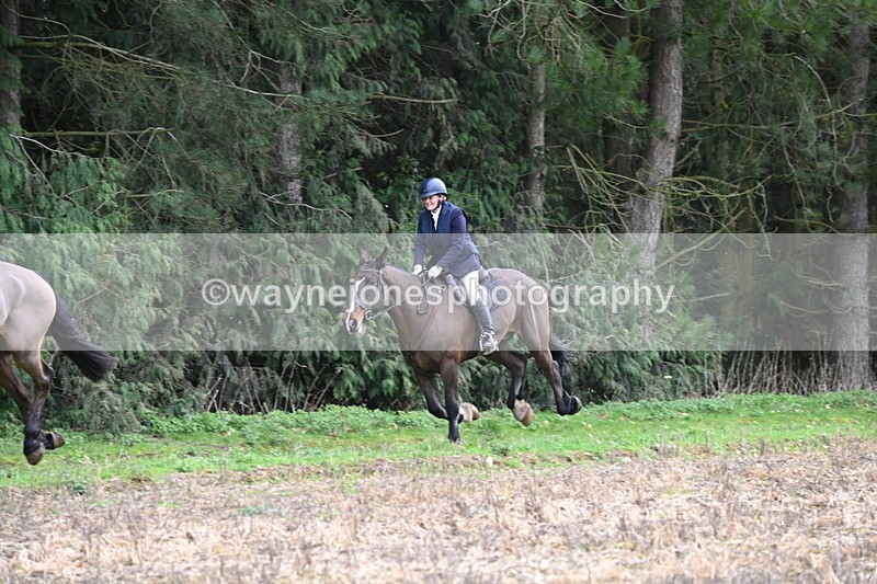 WJ6_9737 - Line Four