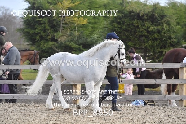 BPP_8850 - RING 2 - M&M