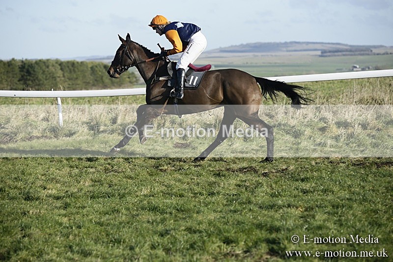PtP 070118 -326 - Larkhill Racing Club Point to Point Larkhill 07/01/2018