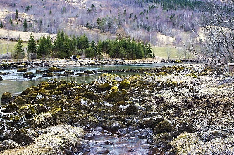 4KJS4259 - Worldwide