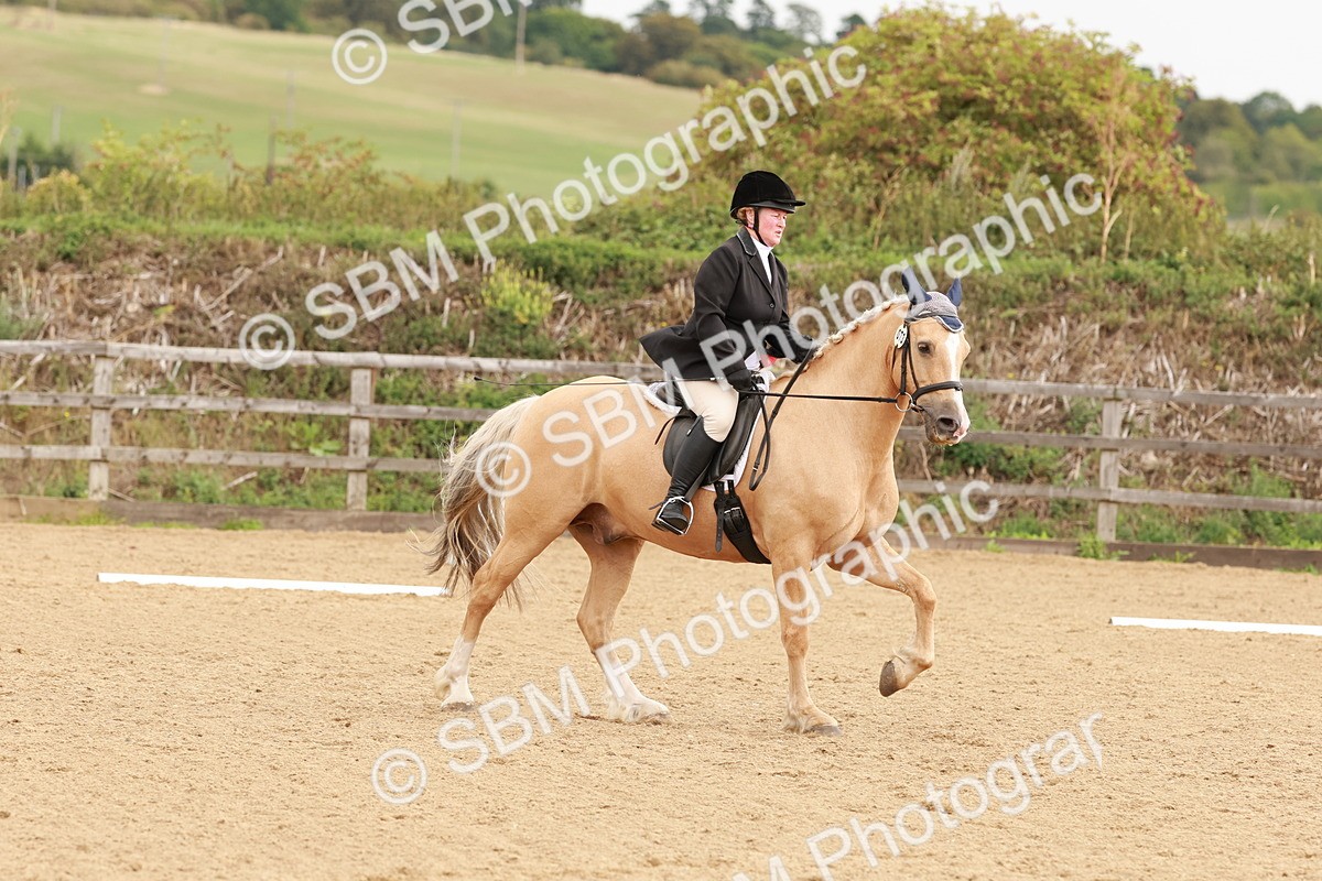 SBM_001488 - Prelim 2