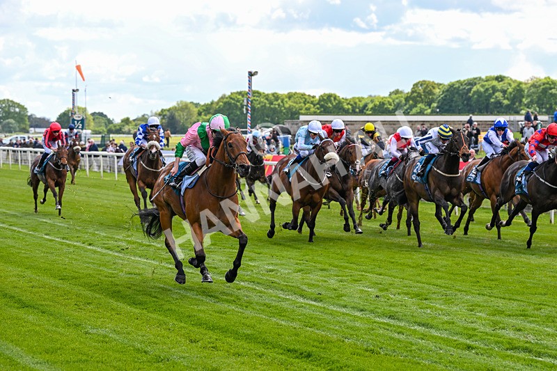 140526-Race 2-Jakajaro-4584 - Race 2 2.20pm Lindum York Handicap