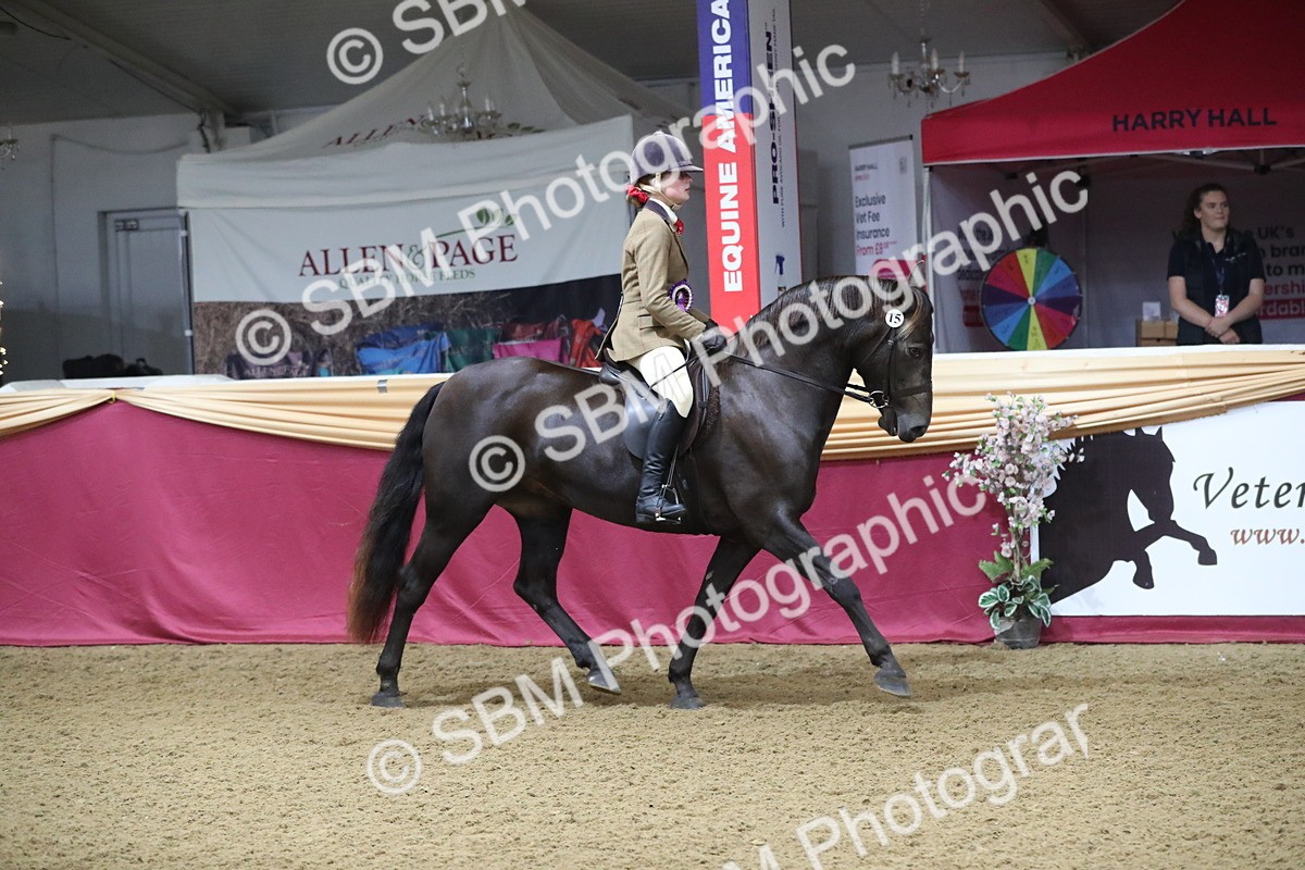 SBM_09401 - Class 101 Equitation (best rider), Junior
