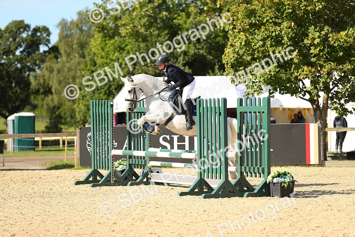 SBM_17710 - J33 - Senior 75cm Championship