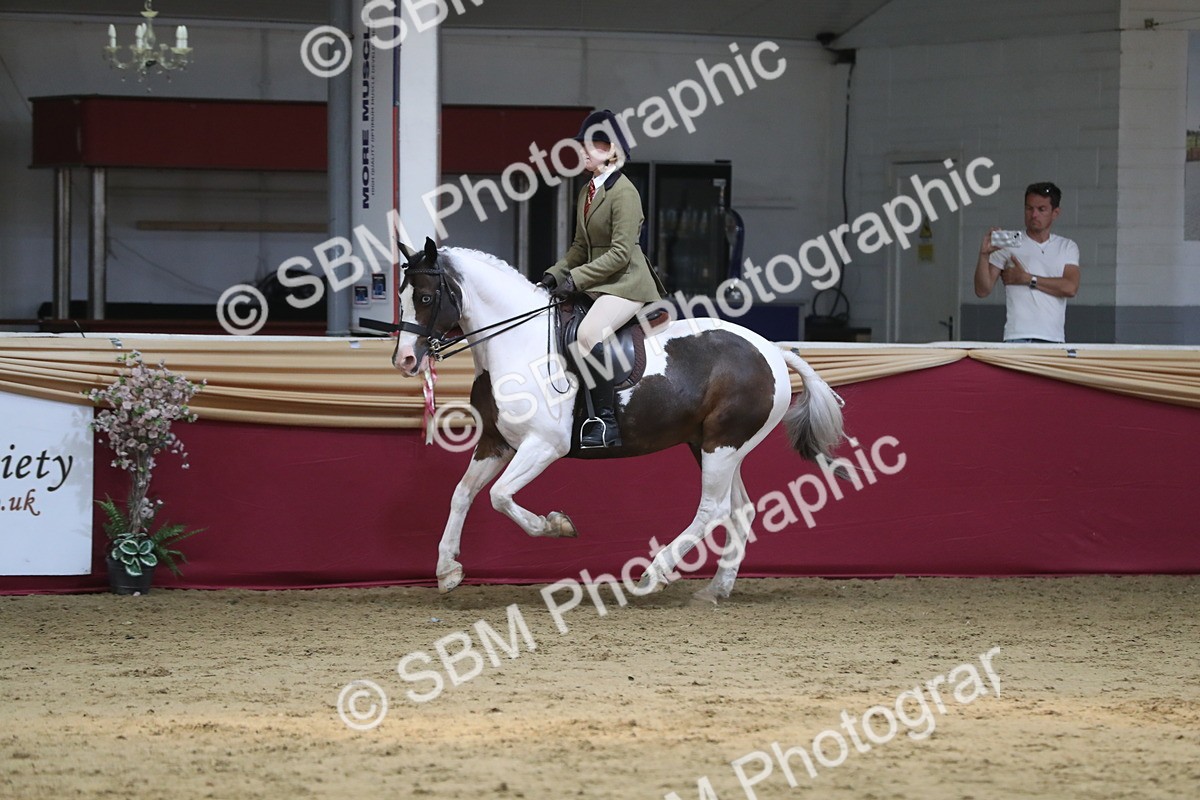 SBM_08426 - Class 11R Regional Ridden Veteran