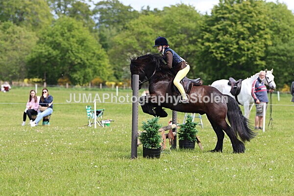IMG_3268 - Working Hunter