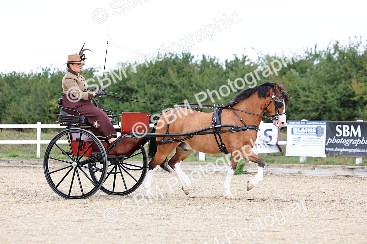 SBM_000265 - Class 2 - Exercise Vehicle 13.2hh & Under