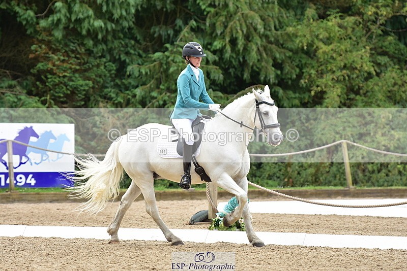 250719A-123336-05619 - 037-Sarah.Browne-Domino.Star