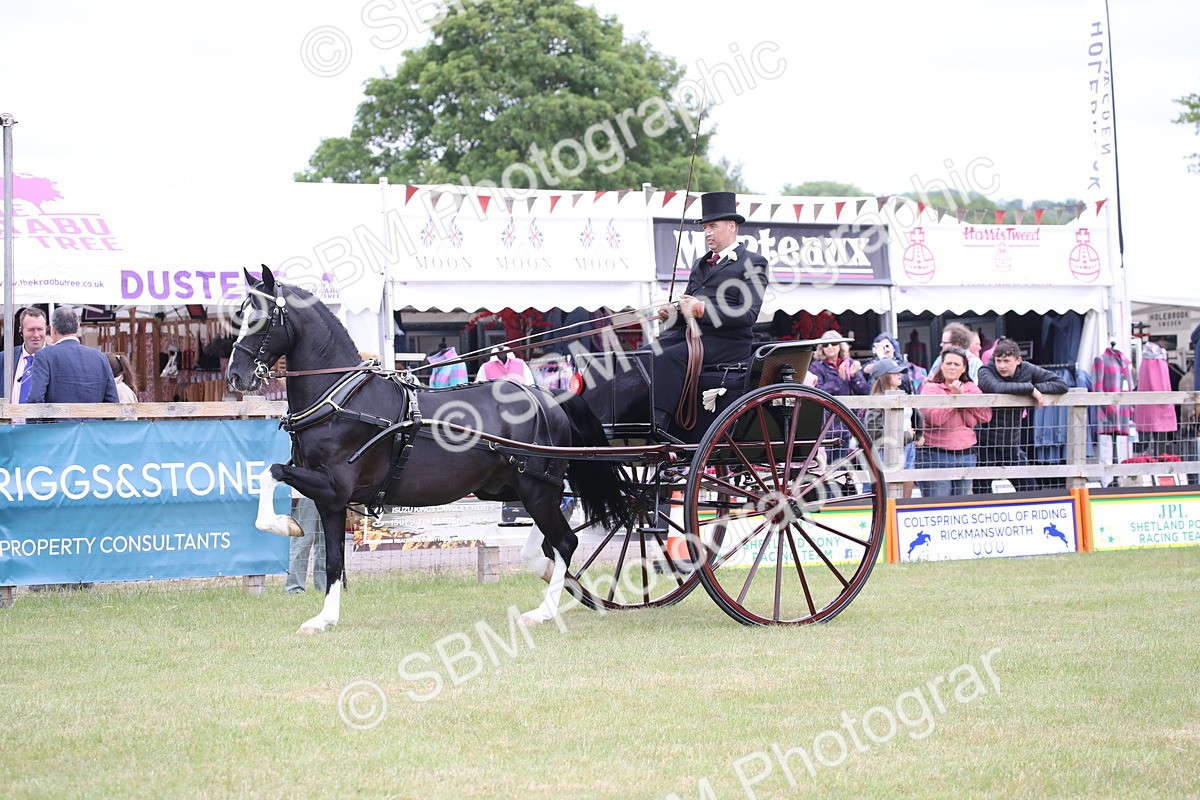 SBM_05799 - Class 12-15 - HOYS Private Driving