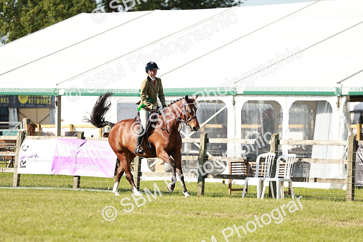 SBM_19347 - Class 115-116 - LIHS BSHA Rising Star Working Hunter & Show Horse