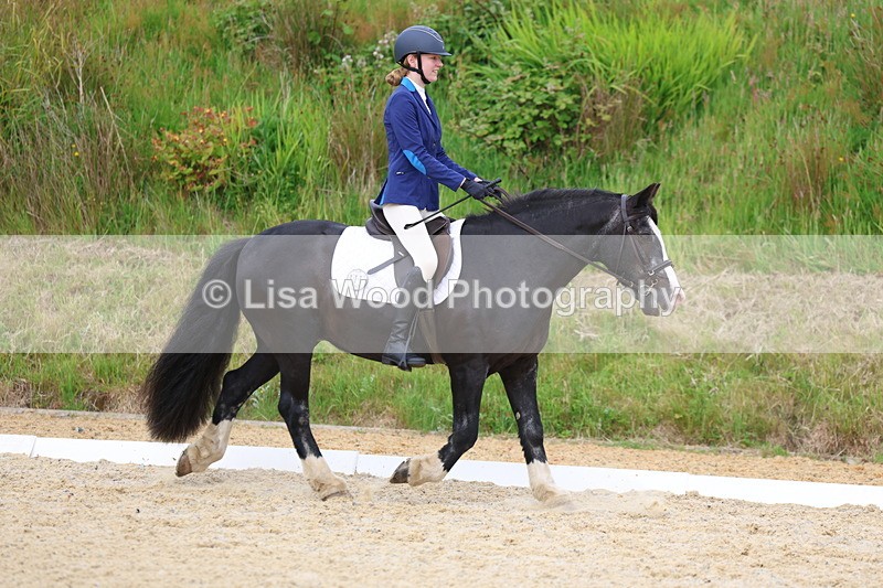 3E7A1663 - Class 2: Intro 2 2024 Section B