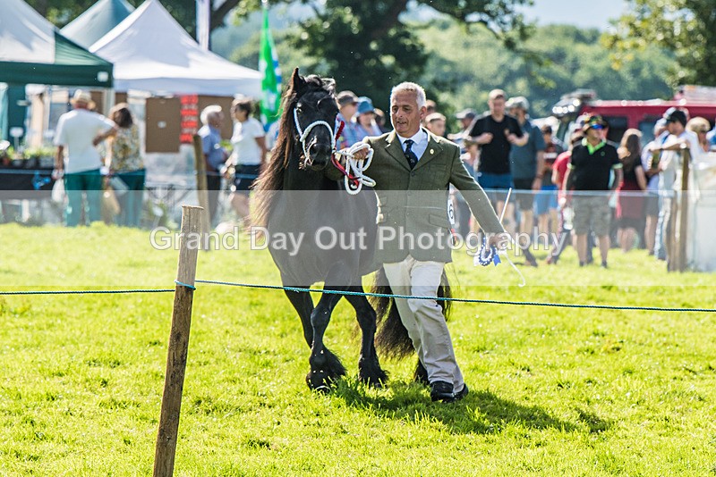 Loweswater Show-24 - Loweswater Show Junior & Senior Fell Races Sunday 3rd September 2023