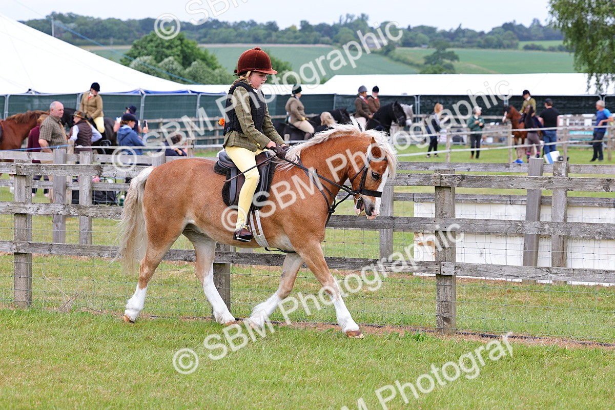 SBM_08536 - Class 42-43 - LIHS BSPS Heritage Working Sports Pony