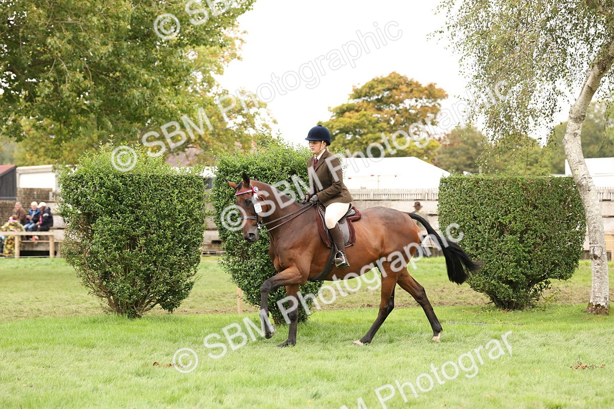 SBM_64238 - S65 - Riding Horse & Hack & Thoroughbred Ridden