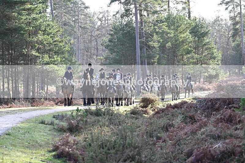 WJ7_7727 - Line 3 (no line 4 or 5)