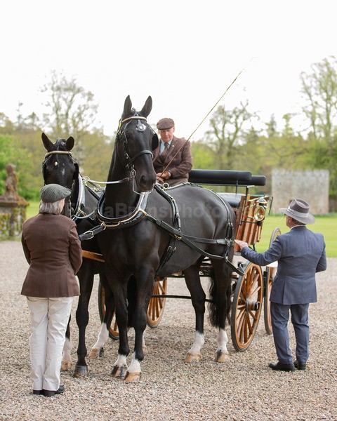Attelage -195 - CIAT Glamis 2026