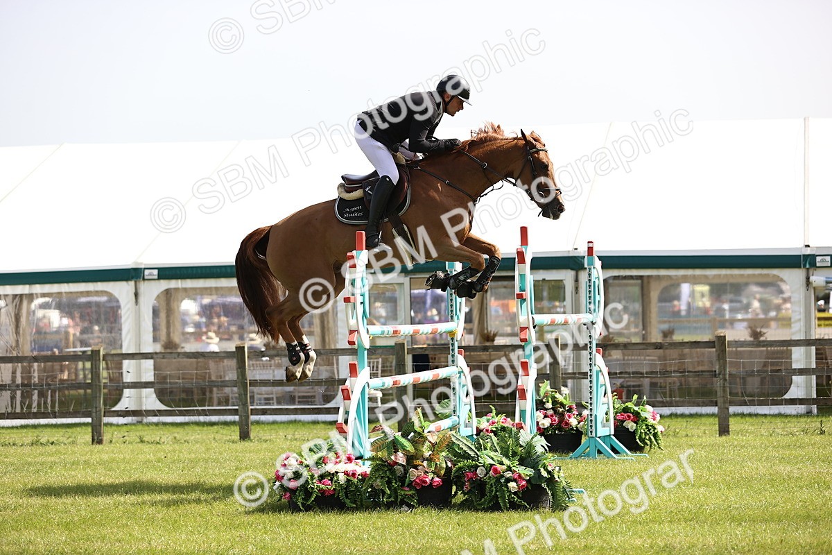 SBM_02987 - Class 201 - British Horse Feedds Speedi Beet HOYS Grade C