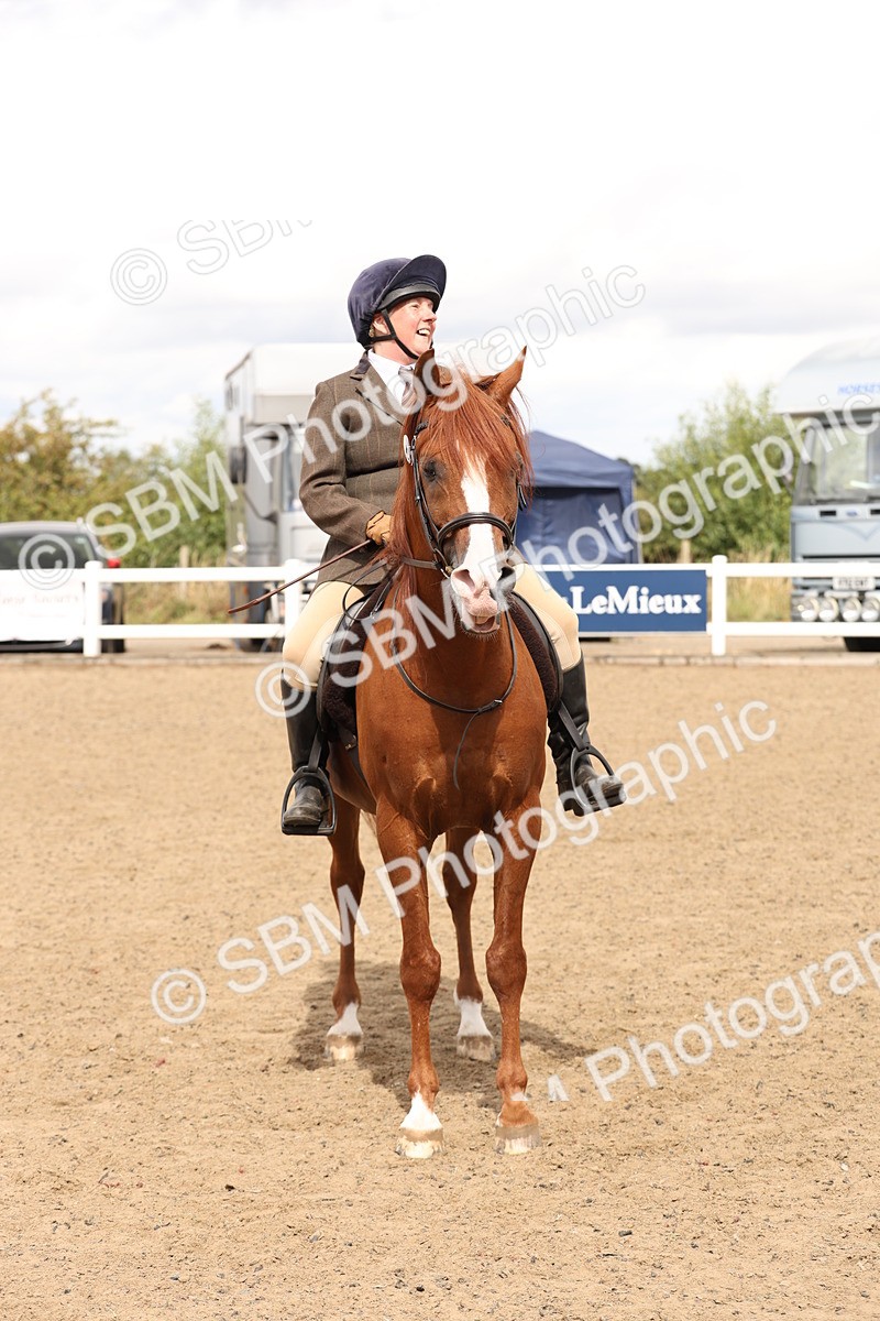 SBM_05234 - Class 56b -  Style & Performance - 50cm (20+)