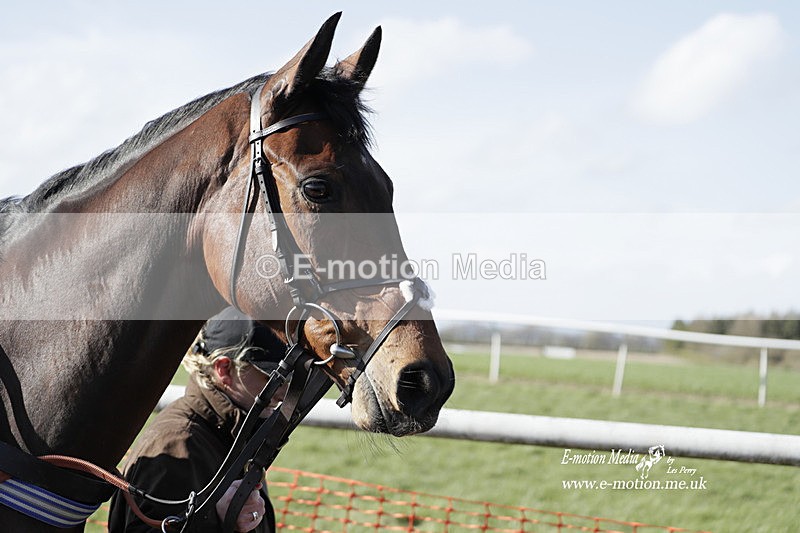 PtP 100423 1198 - Old Berkshire Point-to-Point Lockinge 10/04/23