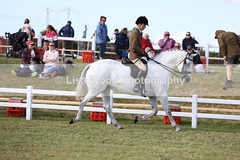 3E7A3807 - Supreme Championship