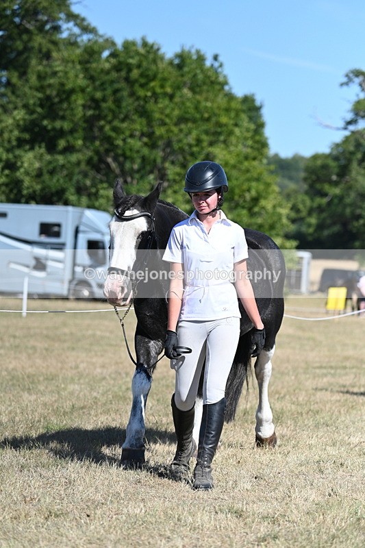 WJ7_1801 - Class 43 Best Six Legs (In hand)