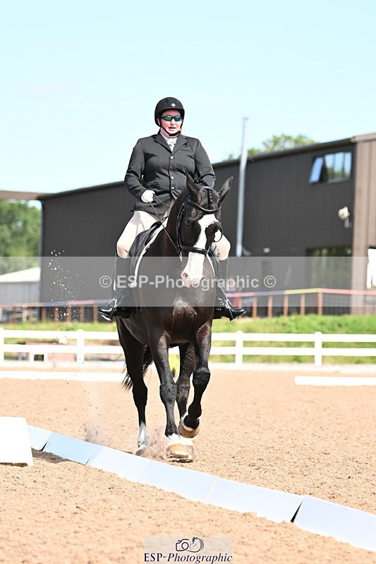 240816A-121853-04866 - 289-Rosey.Bradburn-High.Spirits.II