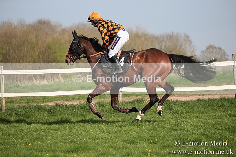 PtP 210418 484 - South & West Wilts Point-to-Point Larkhill 21/04/18