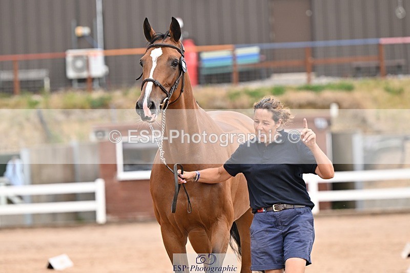 250716-151824-01853 - Trot Up 2.30 to 3.30