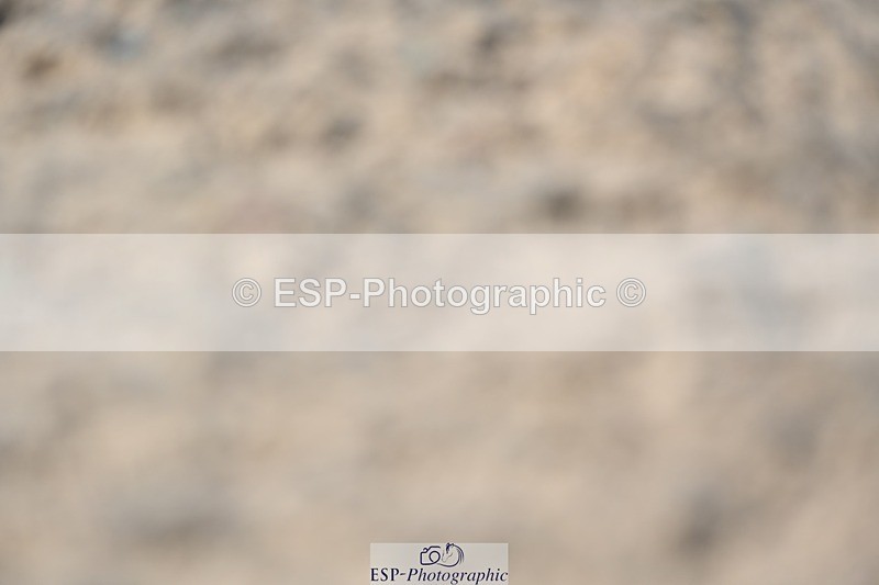 230811-122332-01262 - Cls 4 Adv Medium Silver