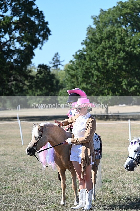 WJ7_2871 - Class 45 Fancy Dress (My Fav)