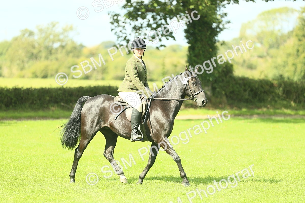 SBM_42056 - S29 - Novice & Newcomers Working Hunter Pony