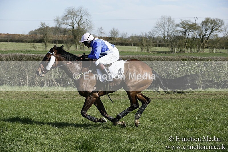 PtP 250317 47 - V.W.H. Hunt Point-to-Point Siddington 25/03/17